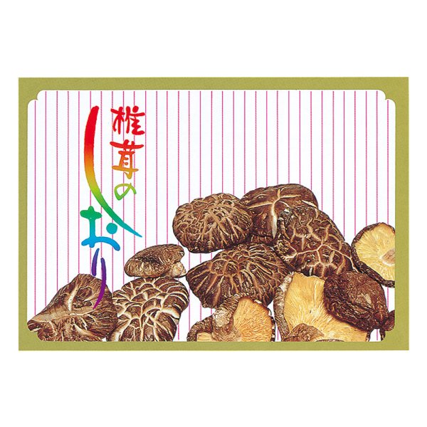 画像1: 送料無料・椎茸のしおり 185×125mm「4000枚」 (1)