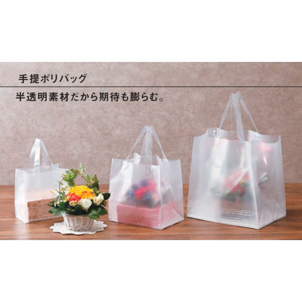 画像3: 送料無料・Wフロスト手提ポリ袋 180×110×180mmほか「300枚から」 (3)