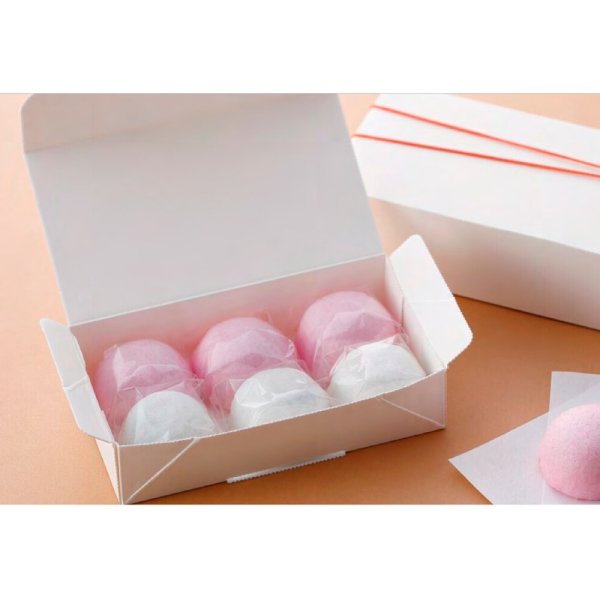 画像2: 送料無料・ギフト箱(和菓子用)エコ和生 154×97×43mmほか「200枚・300枚」 (2)