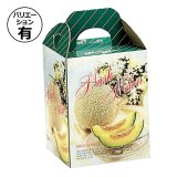 手提箱 ハイクラスメロン 1ヶ入/2ヶ入 150×150×190mmほか「100枚