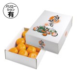 ギフト箱（フルーツ用）みどりのめぐ実 215×145×110mmほか「100枚