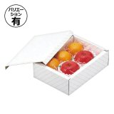 専用　フルーツシリーズ　2箱　シュリンク付き 錦化成 収納ボックス 幅38×奥行27×高さ12cm おさるのジョージ