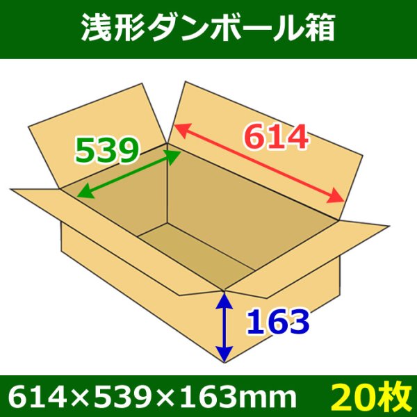 画像1: 送料無料・浅形ダンボール箱　614×539×163mm （140サイズ対応） 「20枚1セット」 (1)