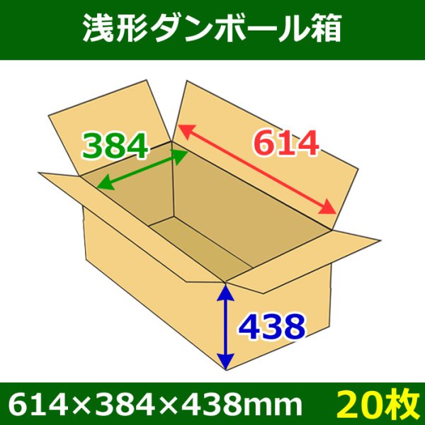 画像1: 送料無料・浅形ダンボール箱　614×384×438mm （160サイズ対応） 「20枚1セット」 (1)