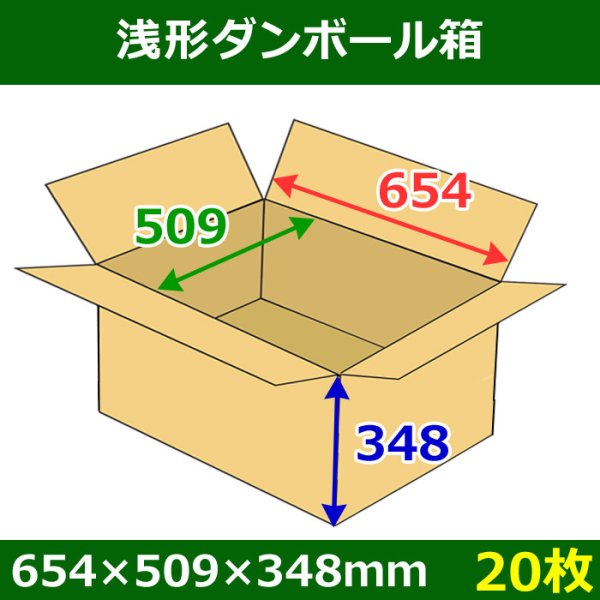 画像1: 送料無料・浅形ダンボール箱　654×509×348mm （160サイズ対応） 「20枚1セット」 (1)
