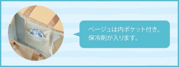 画像3: 送料無料・手提袋(保冷用)クールバッグファスナー 250×150×250mmほか 全27種「10枚・50枚」 (3)