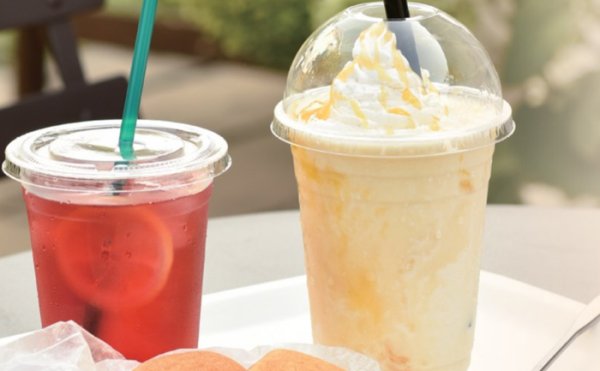 画像3: 送料無料・コップ BIO PETコップ/フタ 9オンス~24オンス 78φ×101mmほか 全30種「600個~5,000個」 (3)