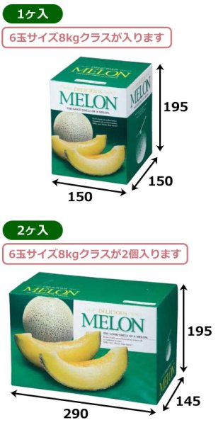画像2: 送料無料・ギフト箱(メロン用)デリシャスメロン 1ヶ入/2ヶ入 150×150×195mmほか「100枚」 (2)