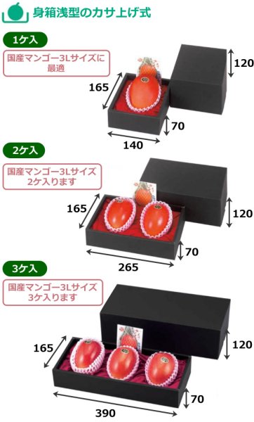画像2: 送料無料・ギフト箱 マンゴー 108×165×100mmほか 1ヶ~3ヶ入「100枚」 (2)