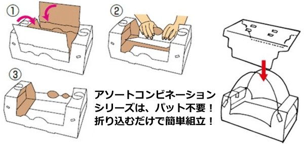 画像5: 送料無料・手提箱(フルーツ用)アソートコンビネーション手提 195×195×105mmほか「50枚・100枚」 (5)