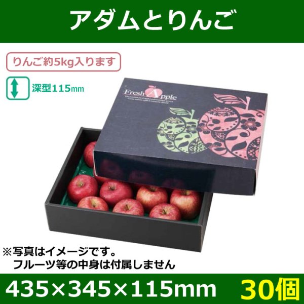 画像1: 送料無料・りんご用ギフトボックス アダムとりんご 435×345×115mm「30個」 (1)