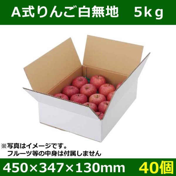 送料無料・フルーツ用外箱（宅配箱）A式りんご白無地 5kg「40個」