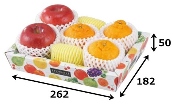 画像3: 送料無料・ギフト箱(フルーツ用)盛箱Vいろどり 182×262×50mmほか「80枚・100枚」 (3)