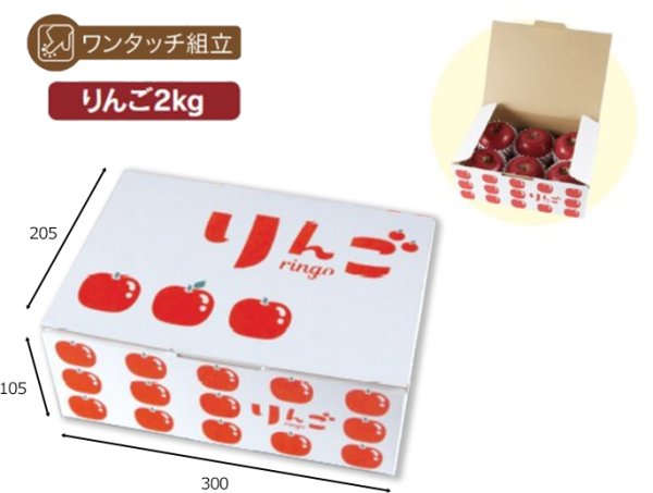 画像2: 送料無料・ギフトBOX イラストりんご 300×205×H105mm「80枚」 (2)