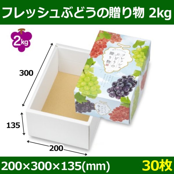 画像1: 送料無料・ぶどう用ギフト箱 フレッシュぶどうの贈り物2kg深口 200×300×135mm「30枚」 (1)