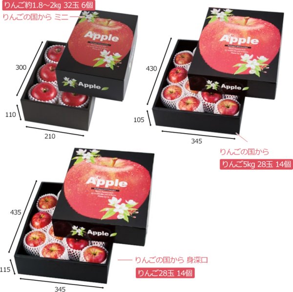 画像2: 送料無料・ギフト箱 りんごの国から 210×300×110mmほか「30枚・50枚」 (2)