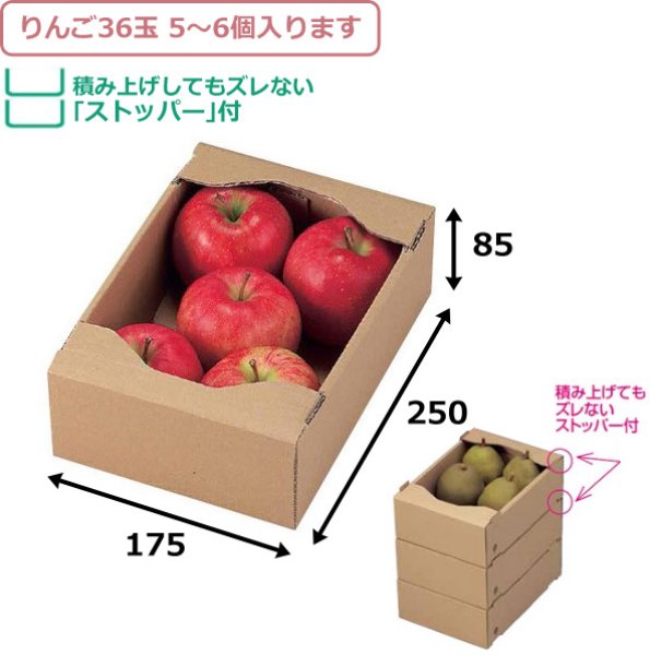 画像2: 送料無料・コンテナ C5サービス 小/中/大 175×250×85mmほか「80枚~120枚」 (2)