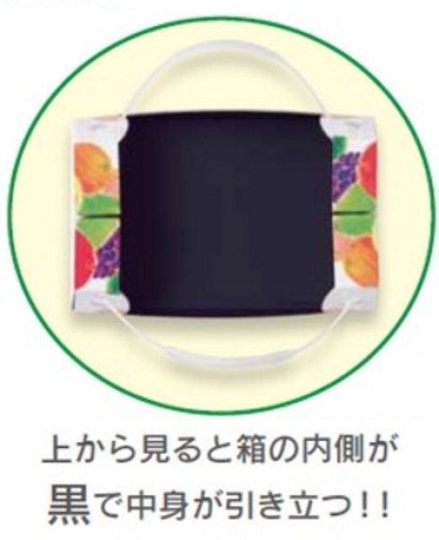画像4: 送料無料・手提箱(フルーツ用)果実パレットコンビネーション手提 280×180×105mmほか「50枚」 (4)