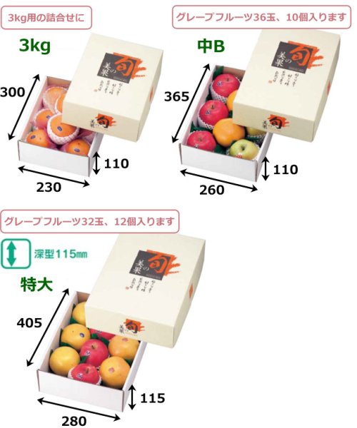 画像2: 送料無料・手提箱（フルーツ用）旬の美果 230×300×110mmほか「40枚・50枚」 (2)