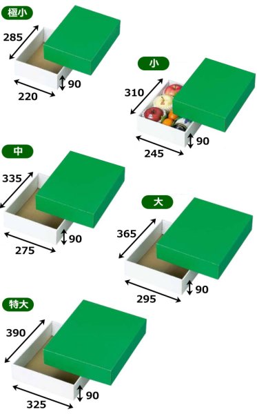 画像2: 送料無料・ギフト箱(フルーツ用)グリーンBOX 220×285×90mmほか「50枚」 (2)