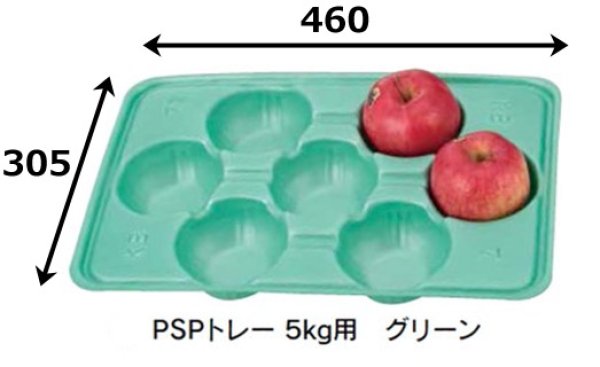 画像2: 送料無料・トレー（フルーツ用）PSPトレー5kg用グリーン 5穴~22穴 外寸460×305mm「200枚」 (2)