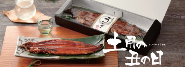 画像2: 送料無料・ギフト箱(食品用)うなぎ箱 370×120×45mmほか 全2種「100枚」 (2)