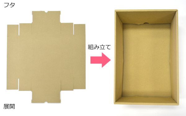 画像8: 送料無料・ギフト箱(ジュース用)ジュース1L ロングG 2本/3本 仕切り有/無 300×181×88mmほか「40枚」 (8)