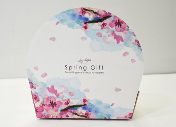 画像5: 送料無料・ギフト箱(菓子用)ぷちばすけっと 132×75×40(150)mmほか 全16種「100枚」 (5)