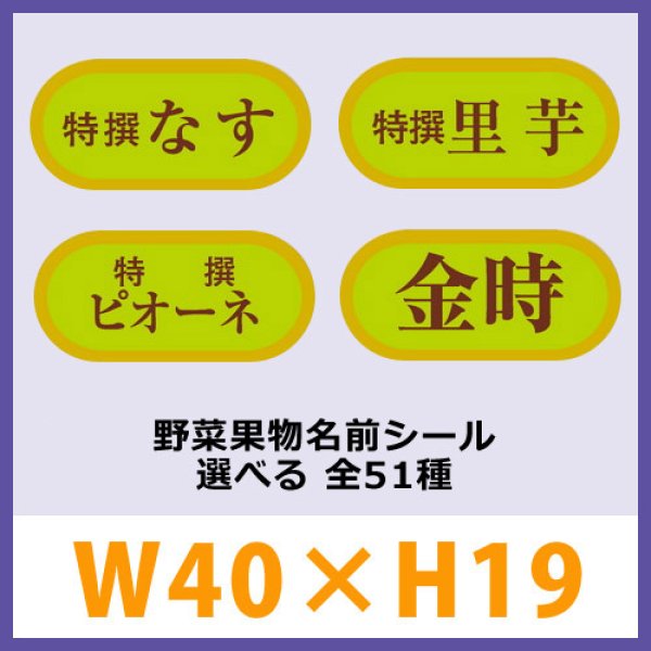 画像1: 送料無料・販促シール「野菜・果物名前ラベルシール　全50種類」40x19mm「1冊1,000枚」 (1)