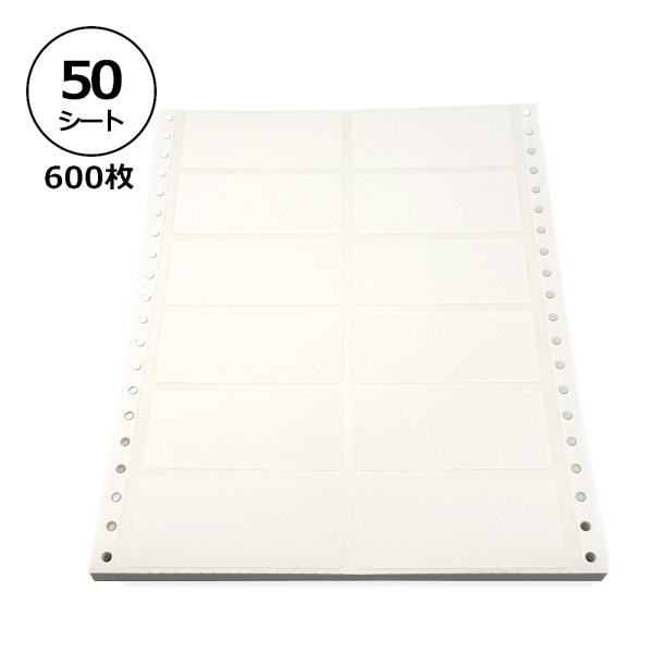 画像1: レターパック送料無料・白無地ラベルシール「50シート600枚」 (1)