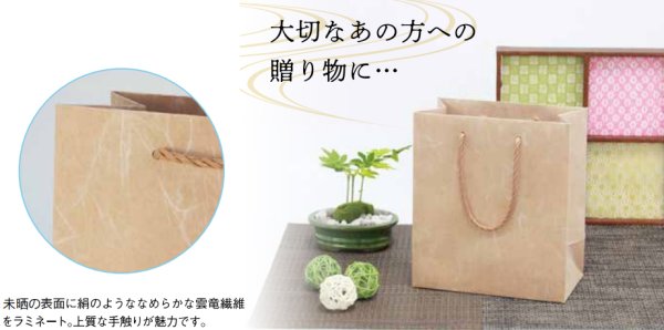 画像2: 送料無料・手提袋 絹流(きんりゅう) 180×100×180~165×160×490(mm) 「100枚・500枚・1000枚」全5サイズ (2)