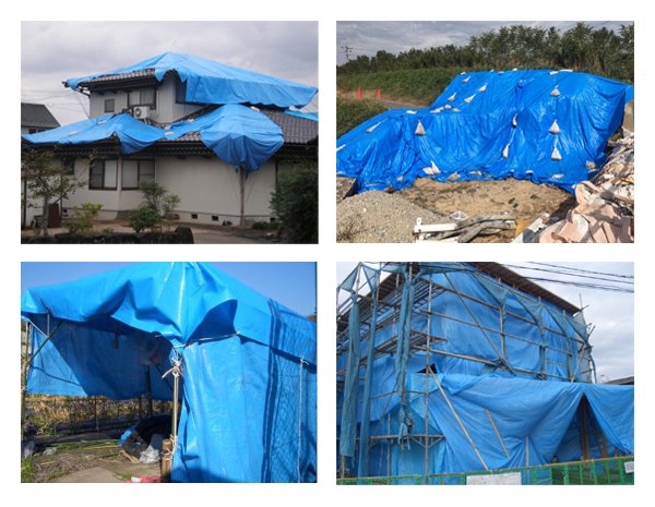 画像4: 送料無料・「国産」ブルーシート（ターピーエコフレンドシート #3000）1.8×1.8Mから「2~50枚」全17サイズ (4)