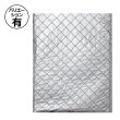 画像1: 送料無料・保冷平袋 200×275~280×375mm「500枚」全3サイズ (1)