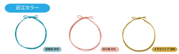 画像5: 送料無料・細ゴム2重片花結び (全17色)58cm 折径約12cm 「1,000本」 (5)