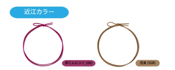 画像6: 送料無料・細ゴム2重片花結び (全17色)58cm 折径約12cm 「1,000本」 (6)