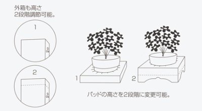 画像1: 【在庫限り】送料無料・花用ギフトケースS-5 サイズ調節可能 450×300×550(400)mm 「20枚」