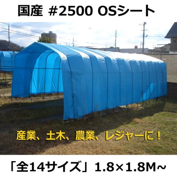 画像1: 送料無料・「国産」ブルーシート(OSシート #2500) 1.8×1.8Mから「全14サイズ」 (1)