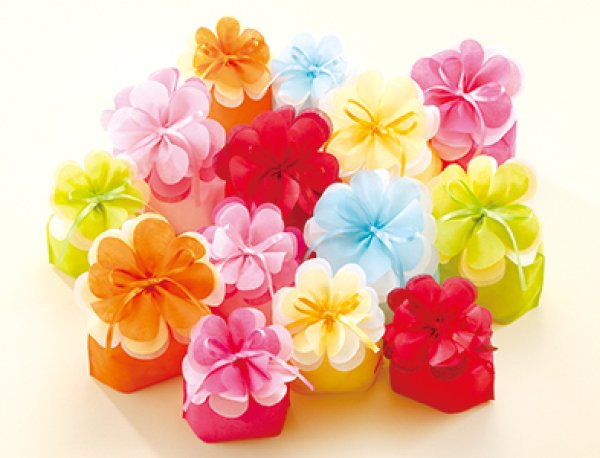 画像4: 送料無料・不織布製ブルーミング巾着 (洋風)「20枚・420枚・2,000枚」全2種×全6色 (4)