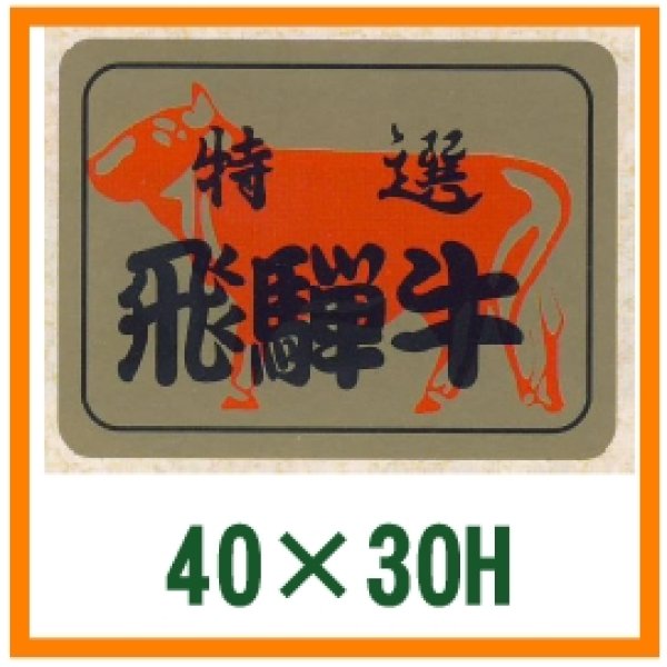 画像1: 送料無料・精肉用販促シール「飛騨牛」40x30mm「1冊500枚」全3種 (1)