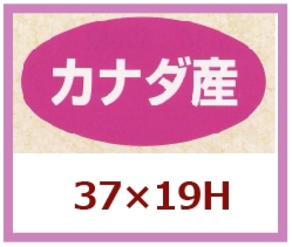 画像1: 送料無料・販促シール「カナダ産」37x19mm「1冊1,000枚」 (1)