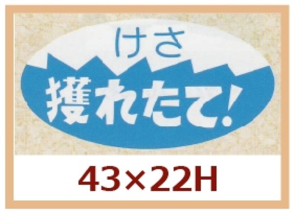 画像1: 送料無料・販促シール「けさ　採れたて！」43x22mm「1冊750枚」 (1)