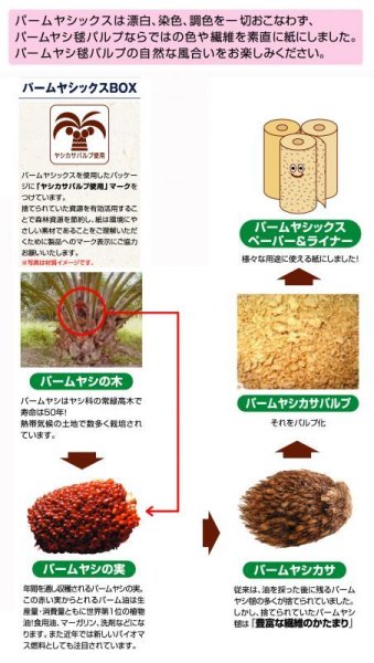 画像2: 送料無料・ギフト箱(酒用)パーム・ボトル 筒式 1本入/2本入 82×82×305mm「100枚・200枚」 (2)