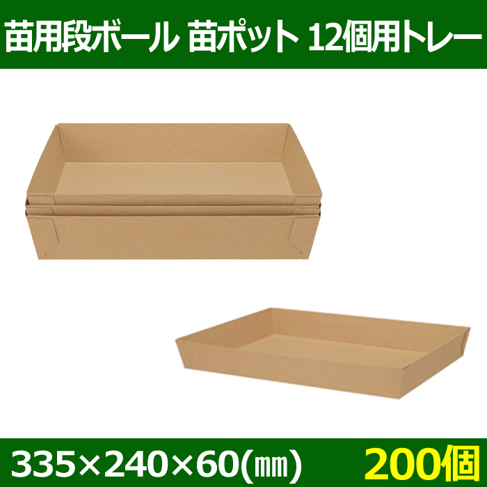 ６４チタン　ＣＡＰ 材質(６４チタン) 規格(6X60) 入数(100)  - 5