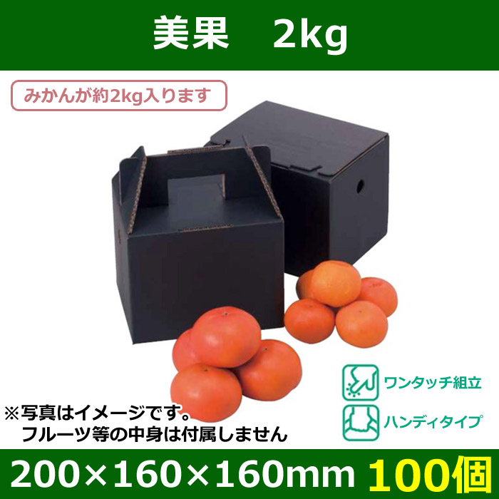 送料無料・手提宅配兼用 フルーツ用ギフトボックス 美果 2kg 200×160×160（230）mm「100個」| 段ボール箱と梱包資材のIn The  Box（インザボックス）