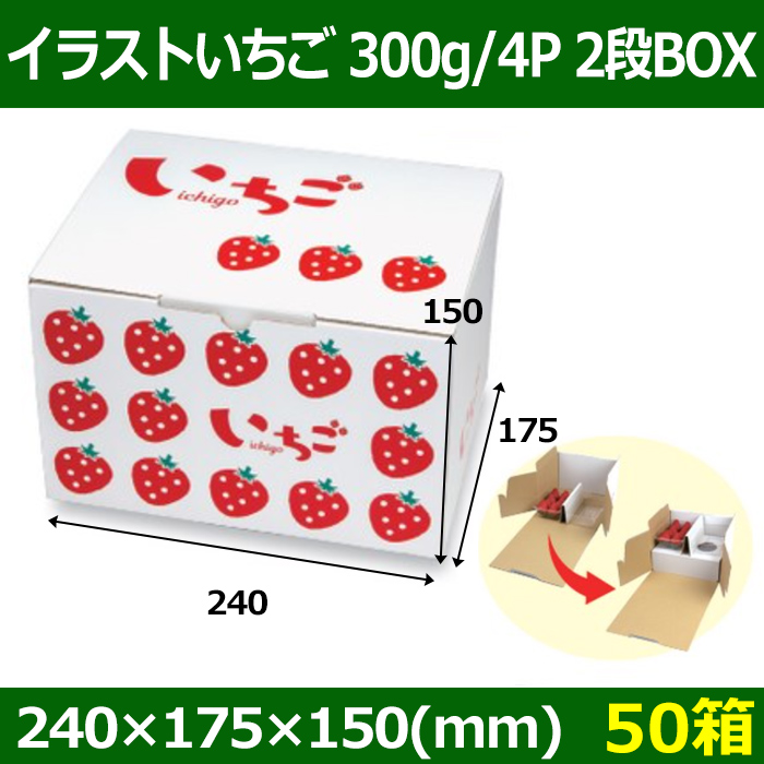 送料無料・いちご用ギフト箱 イラストいちご 300g4P 2段BOX 240×175×150(mm) 「50箱」| 段ボール箱と梱包資材のIn The  Box（インザボックス）
