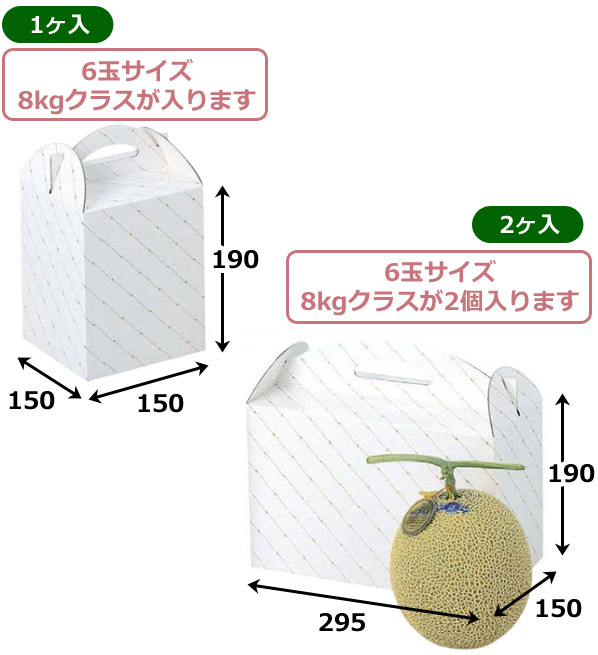 手提箱 金線メロン 1ヶ入/2ヶ入 150×150×190mmほか「50枚・100枚