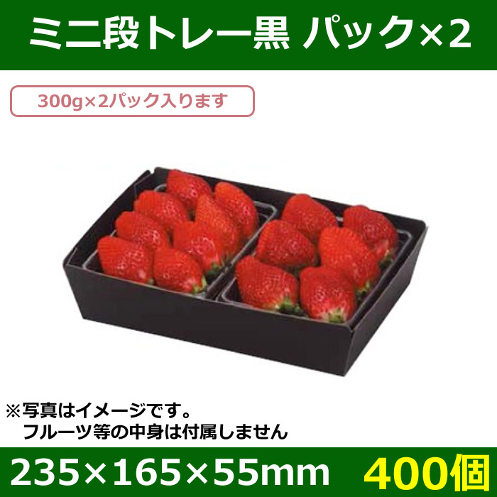 （いちごの箱）ミニ段トレー黒パック×2 400枚入（L-490） - 4