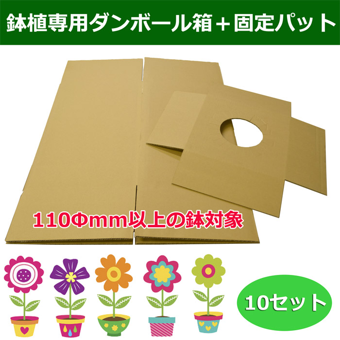 鉢植専用・ダンボール箱（248×248×396mm）＋固定用パット「10セット