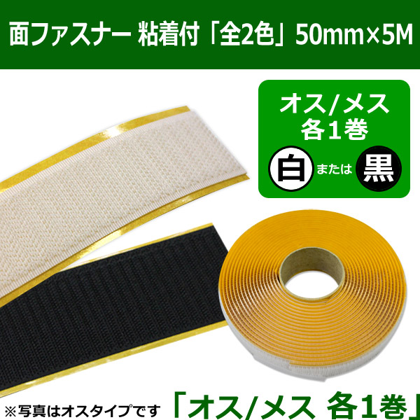 布テープ 白 50mm 白色 梱包用 テープ 梱包 梱包用テープ - 3